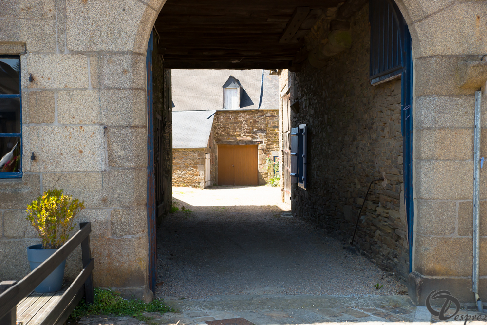 2019-aout-22-DSC08399