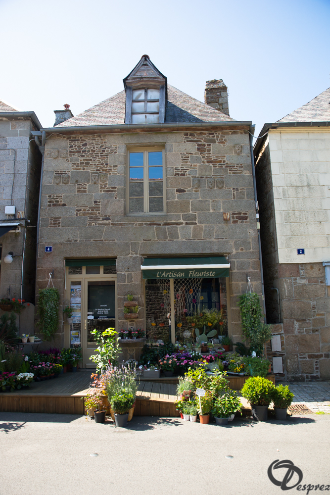 2019-aout-22-DSC08400