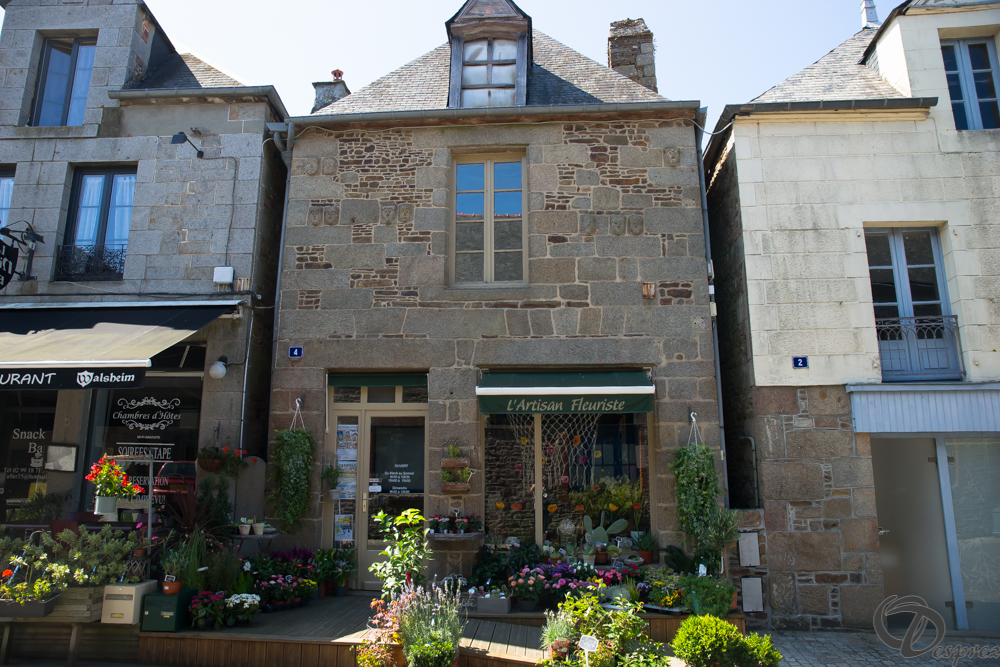 2019-aout-22-DSC08403