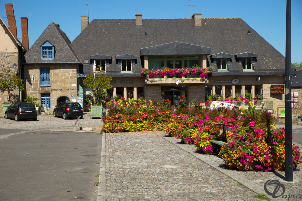 2019-aout-22-DSC08404