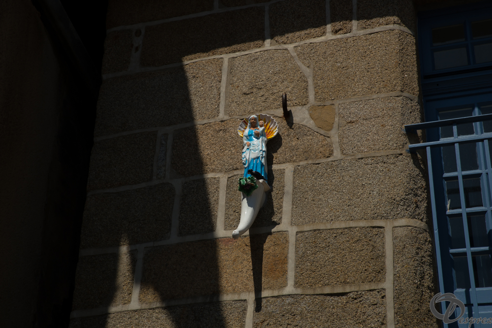 2019-aout-22-DSC08406