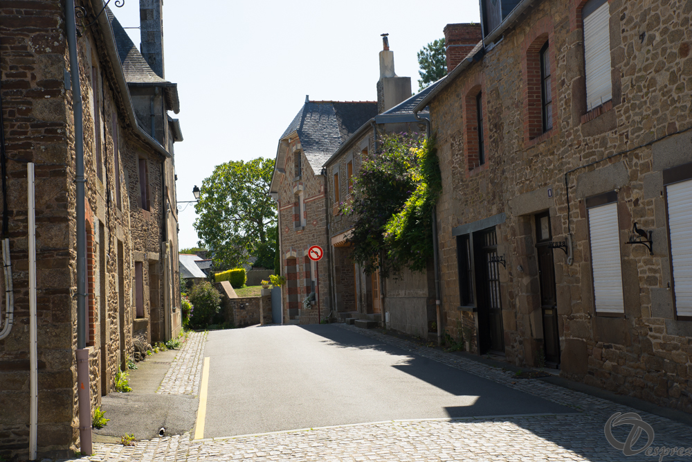 2019-aout-22-DSC08411