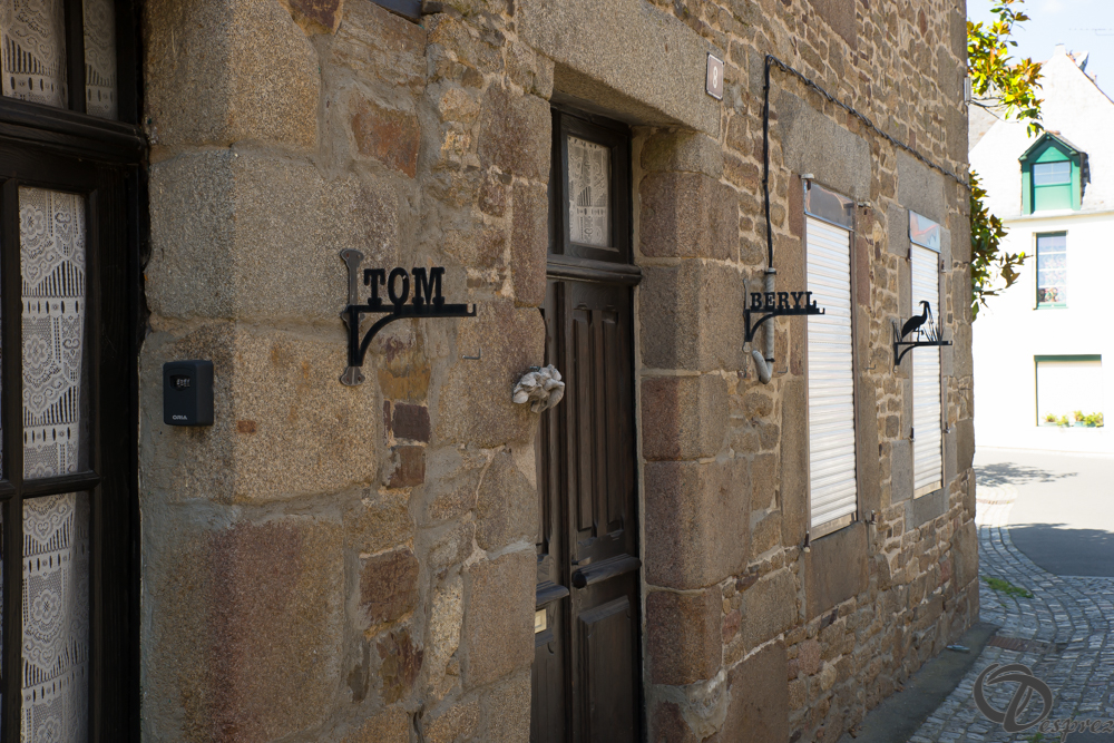 2019-aout-22-DSC08412