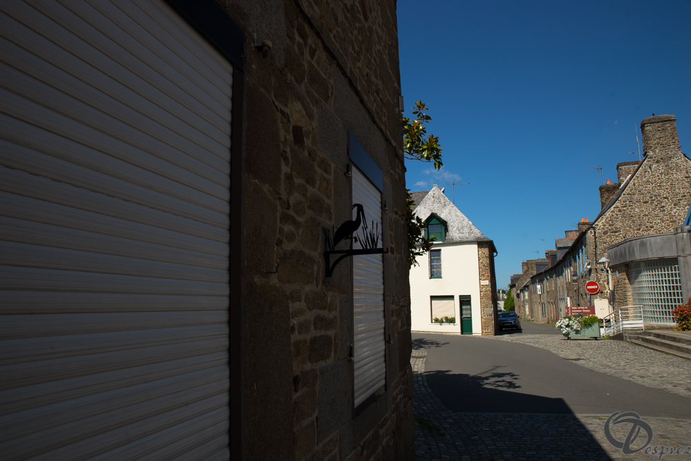 2019-aout-22-DSC08415