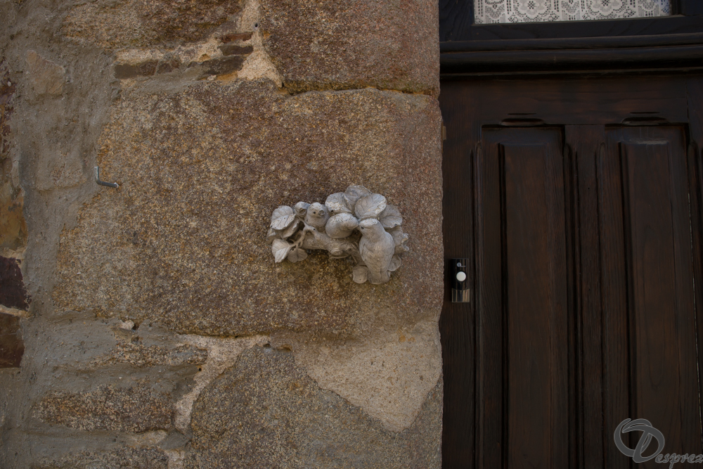 2019-aout-22-DSC08416