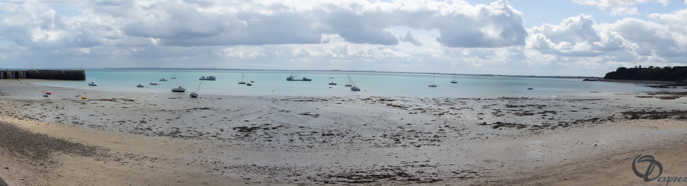 2019-aout-19-DSC03093