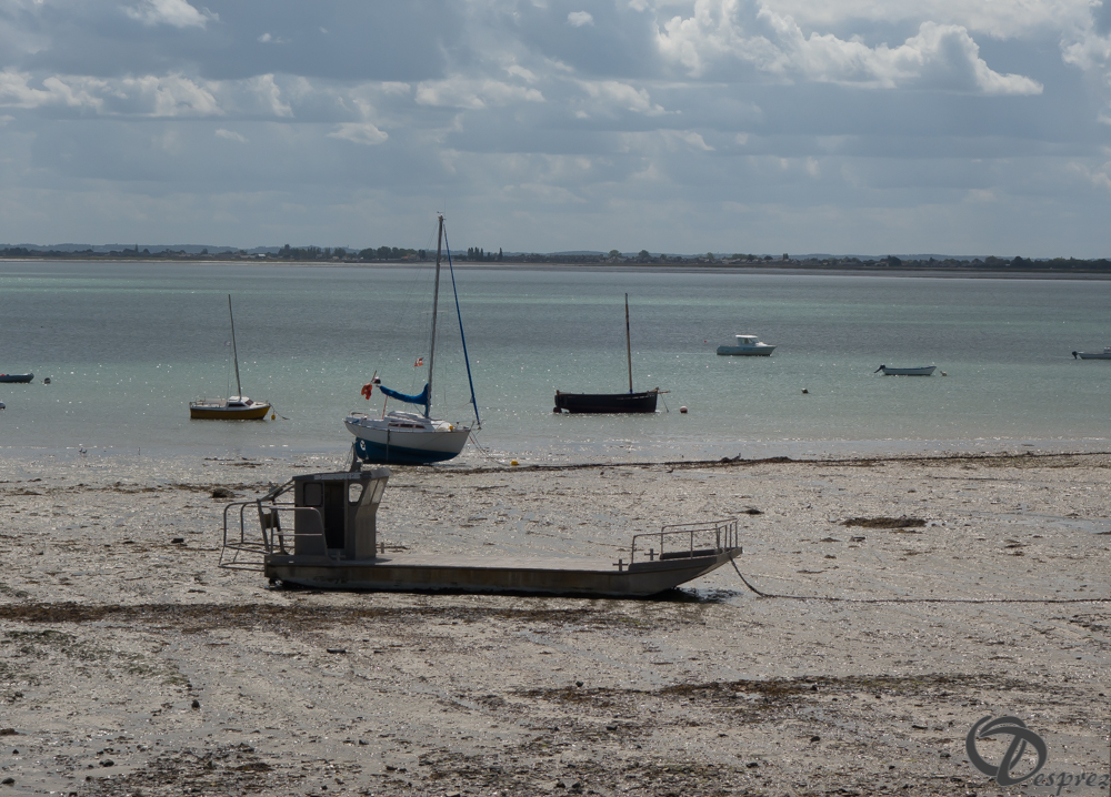 2019-aout-19-DSC03099