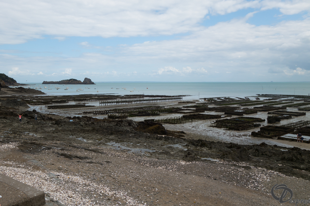 2019-aout-19-DSC03103