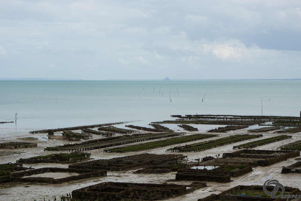 2019-aout-19-DSC03107