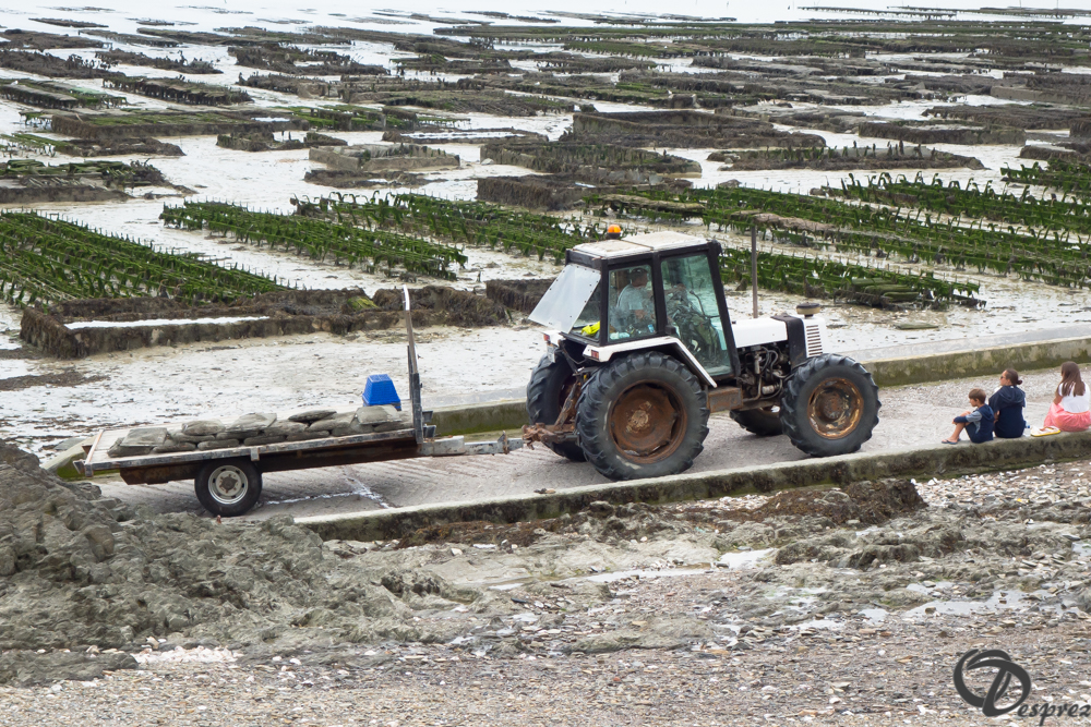 2019-aout-19-DSC03108