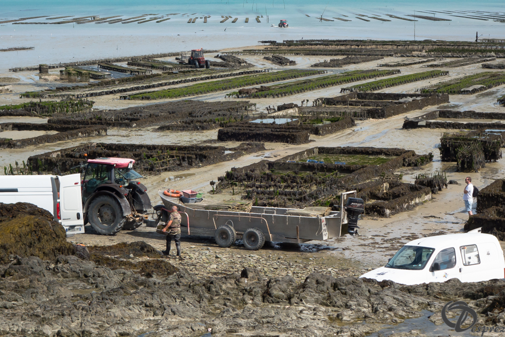 2019-aout-19-DSC03130