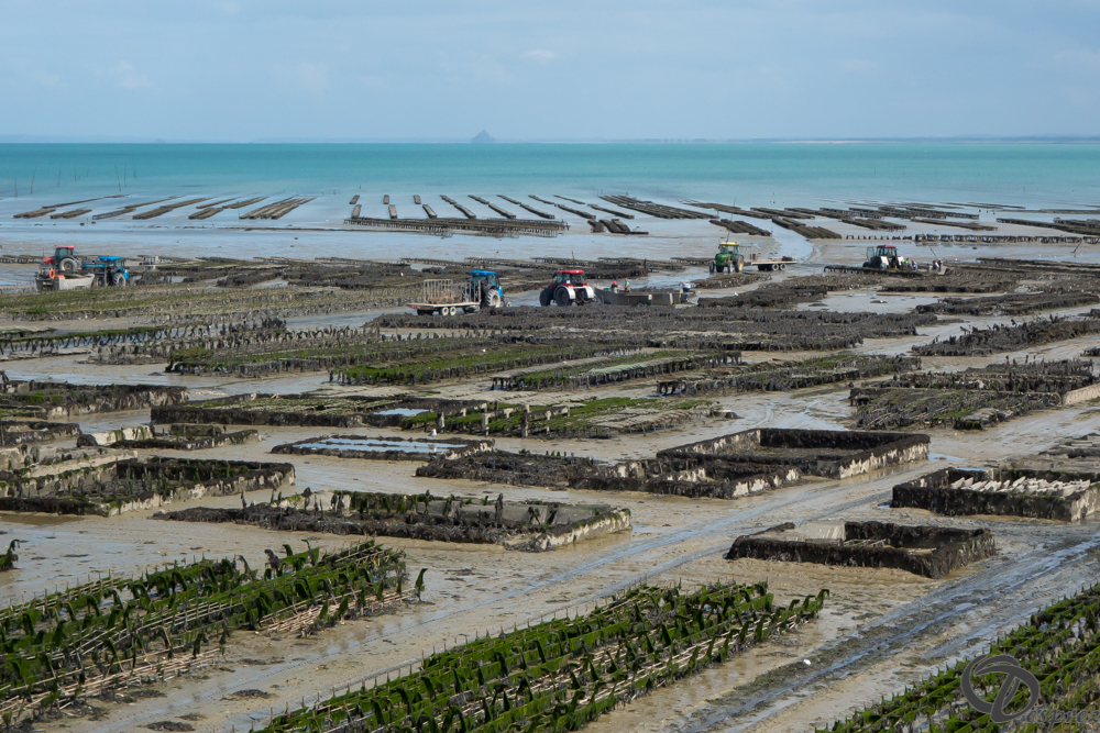 2019-aout-19-DSC03132