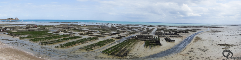 2019-aout-19-DSC03133