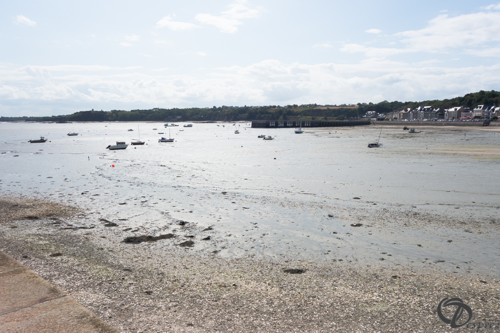 2019-aout-19-DSC03139