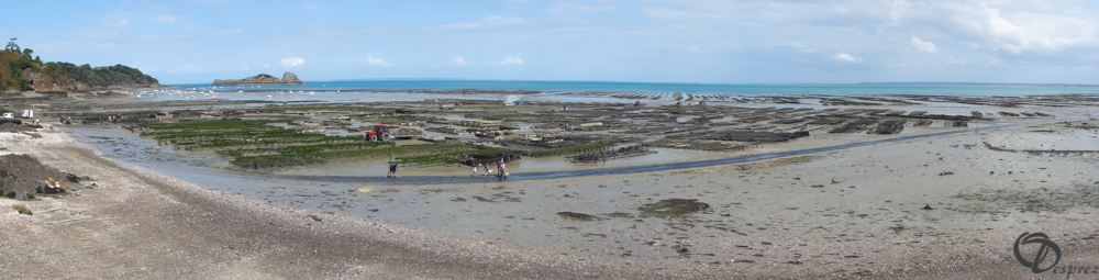 2019-aout-19-DSC03141