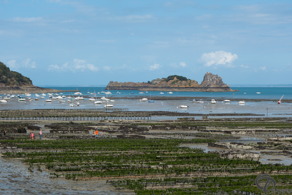 2019-aout-19-DSC03142
