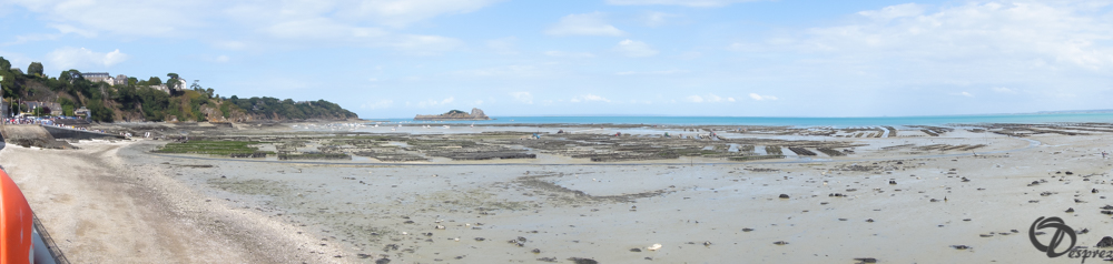 2019-aout-19-DSC03144