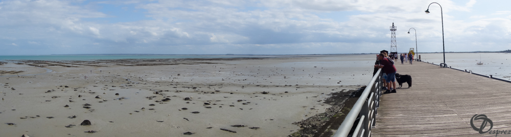 2019-aout-19-DSC03145