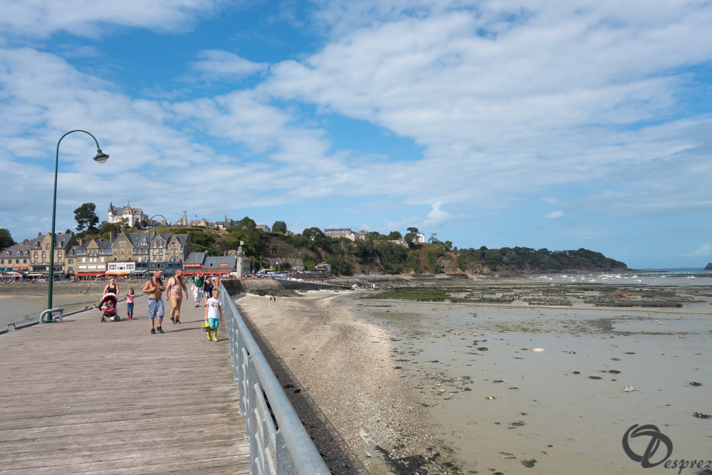 2019-aout-19-DSC03157