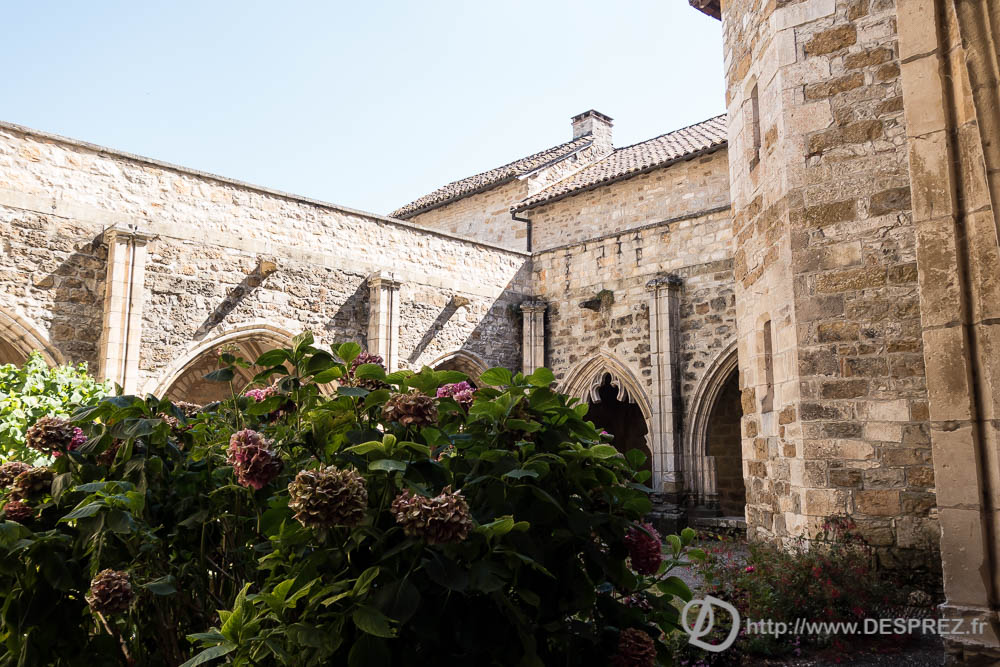 14 aout 2016DSC01213