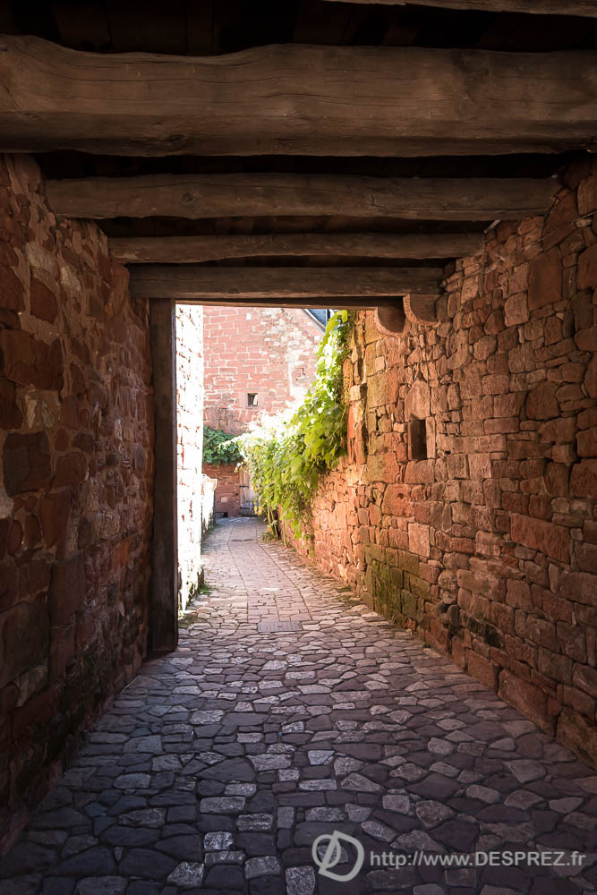 13 aout 2016DSC01146