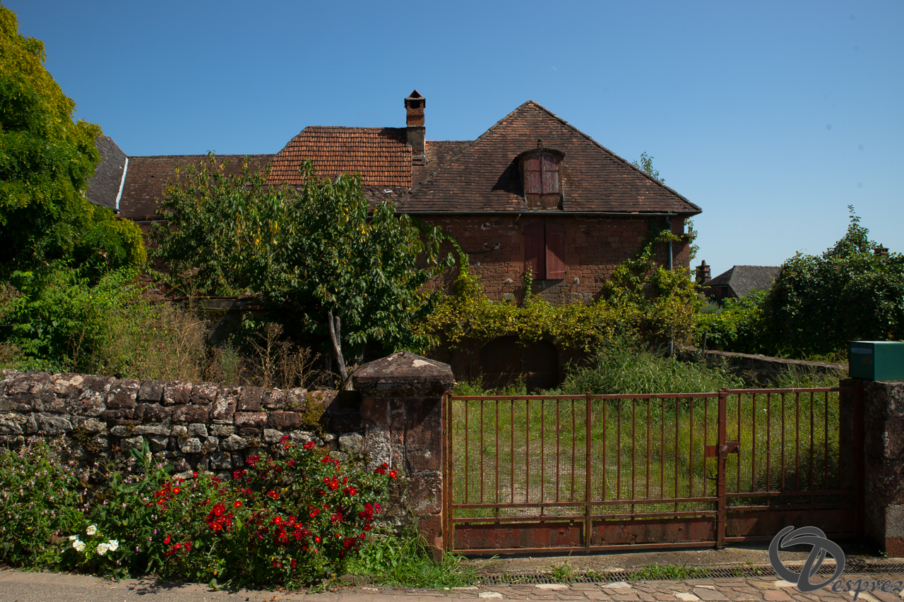 2021-août-14-DSC09269