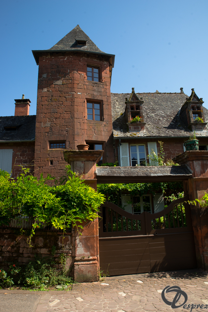 2021-août-14-DSC09270