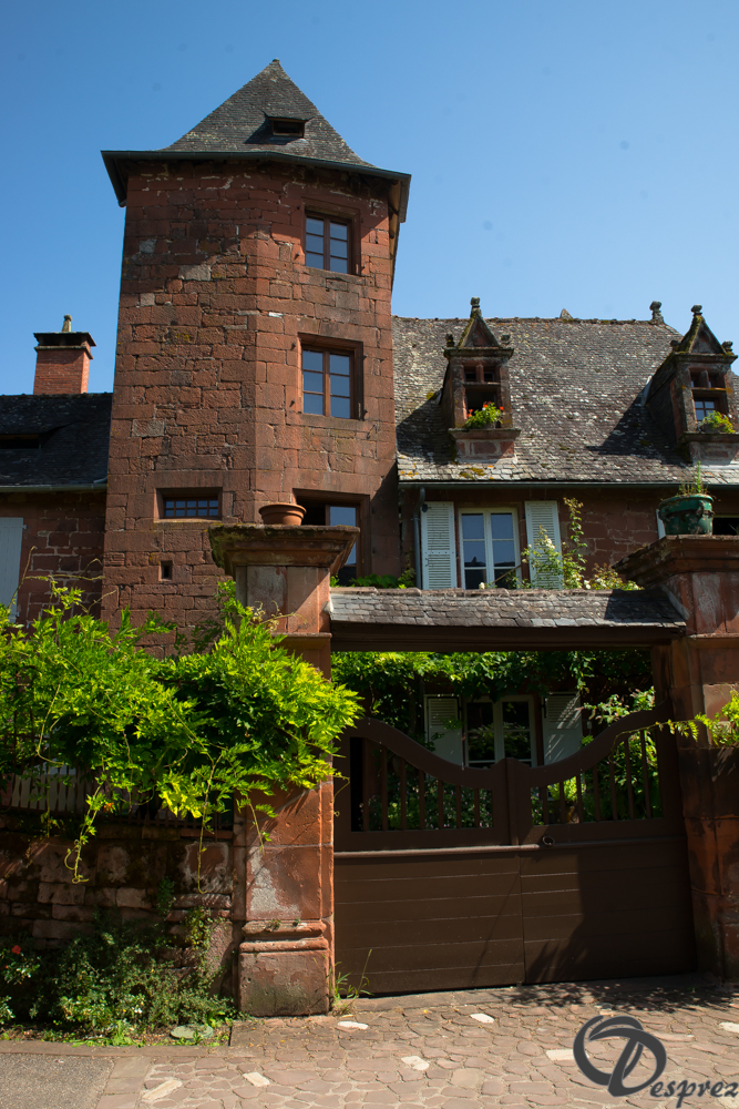2021-août-14-DSC09271