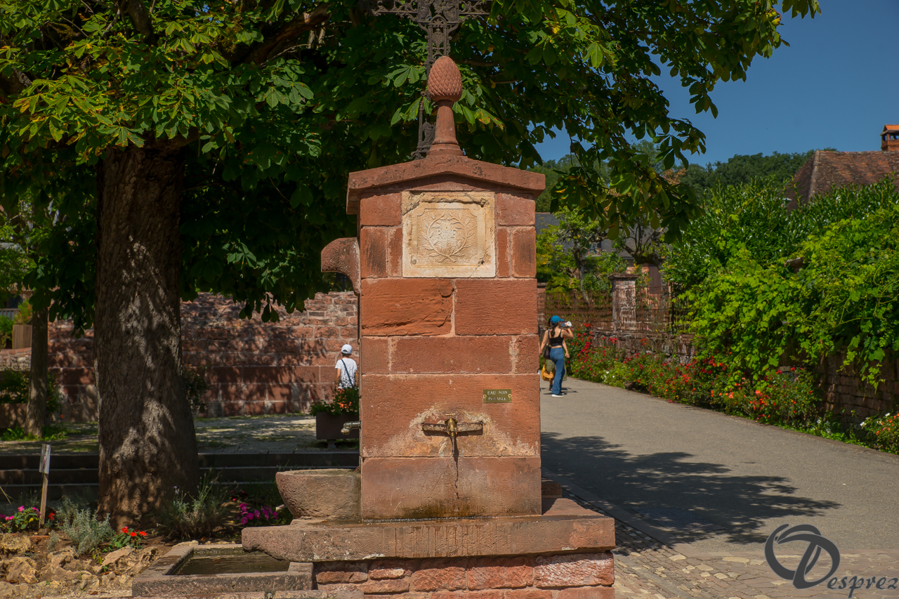 2021-août-14-DSC09272