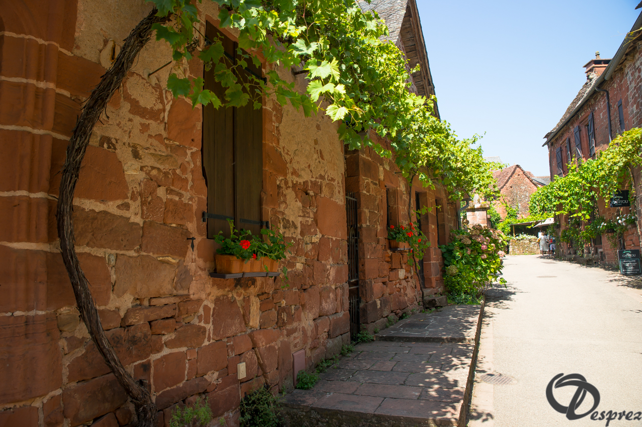 2021-août-14-DSC09273