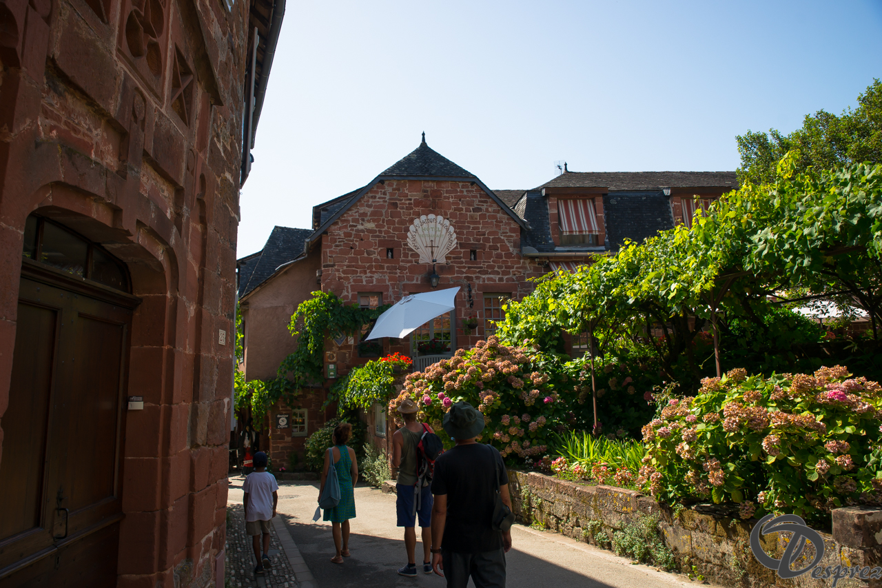 2021-août-14-DSC09274