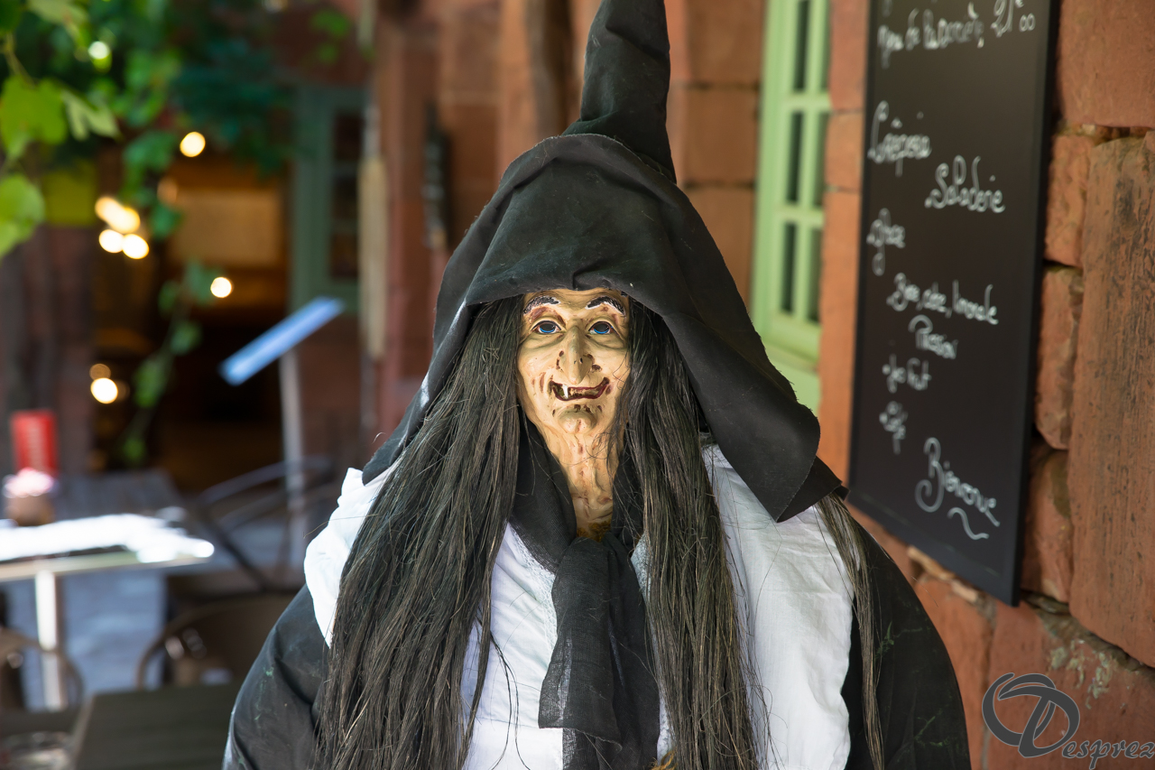 2021-août-14-DSC09276