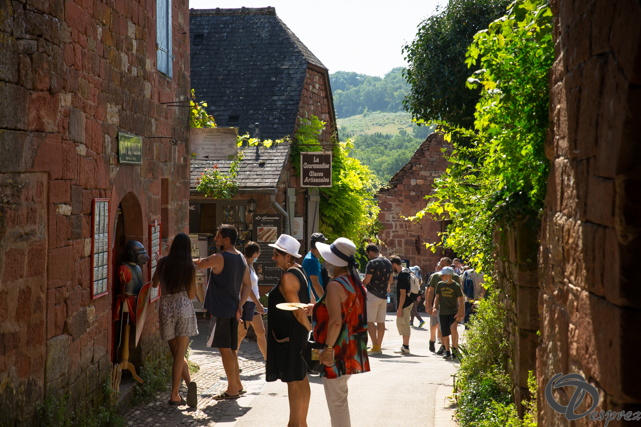 2021-août-14-DSC09277