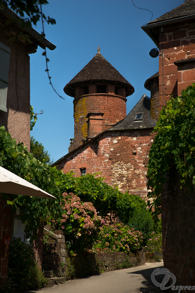 2021-août-14-DSC09278