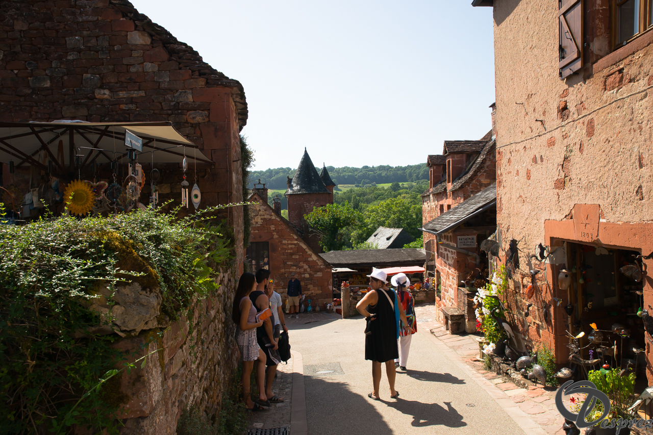 2021-août-14-DSC09280