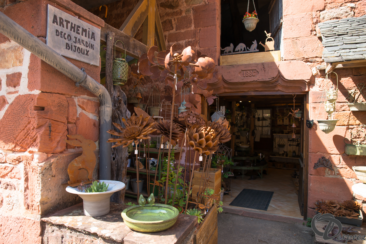 2021-août-14-DSC09281