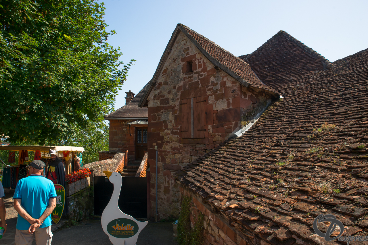 2021-août-14-DSC09283