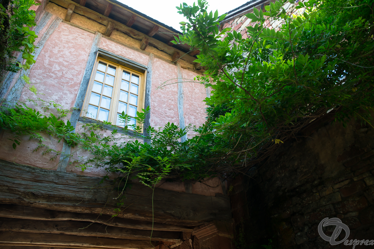 2021-août-14-DSC09284