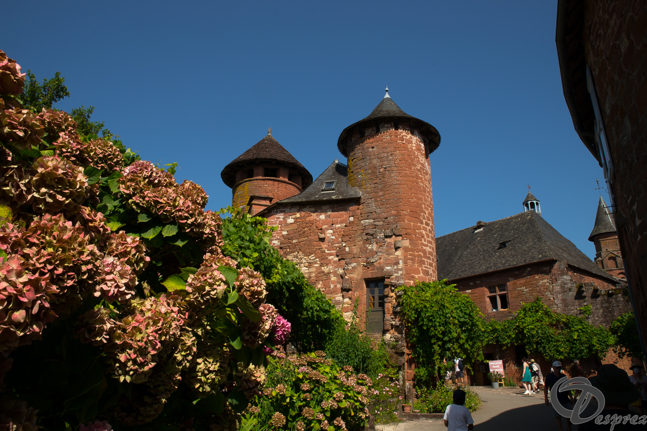 2021-août-14-DSC09286