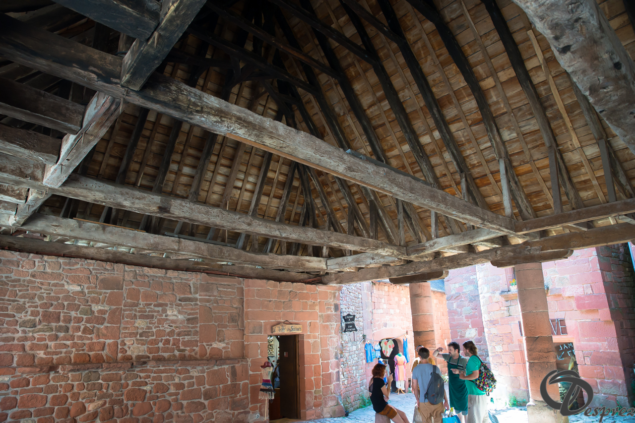 2021-août-14-DSC09289