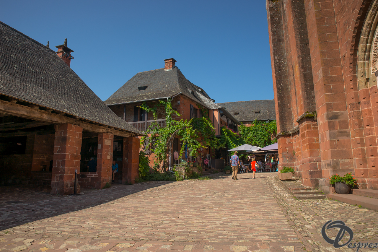 2021-août-14-DSC09291