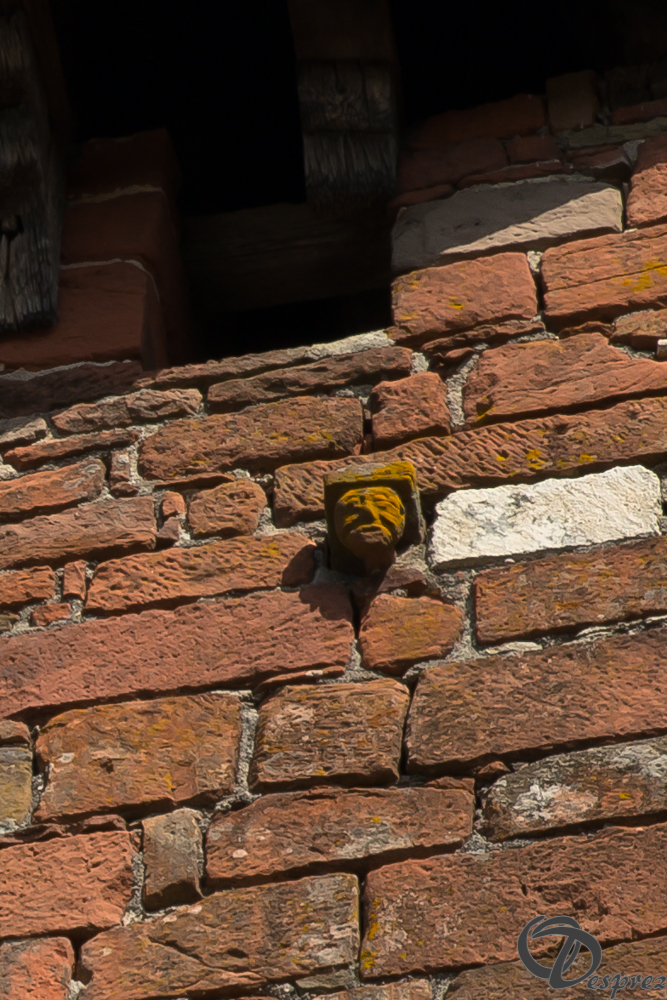 2021-août-14-DSC09294