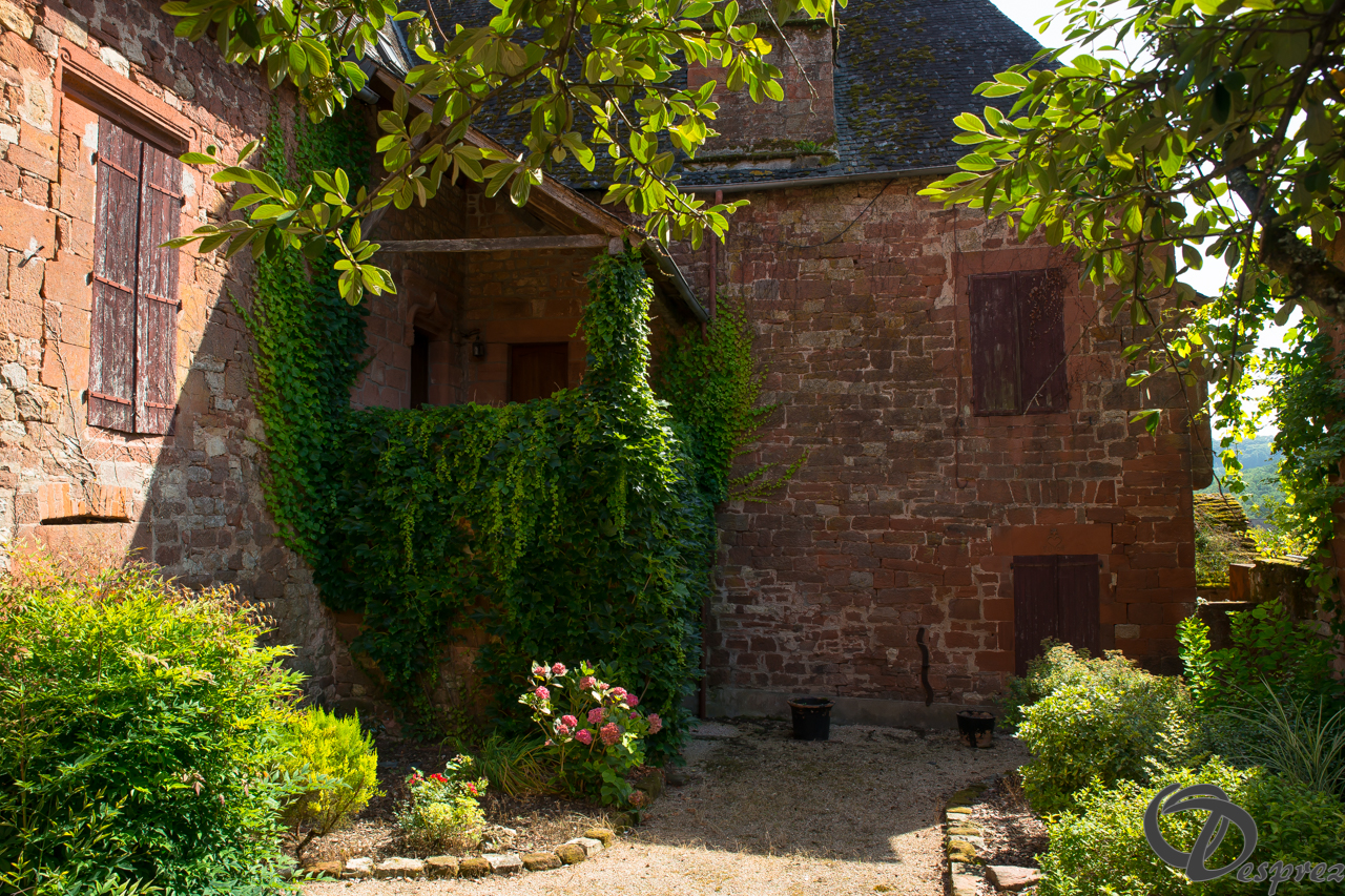 2021-août-14-DSC09295