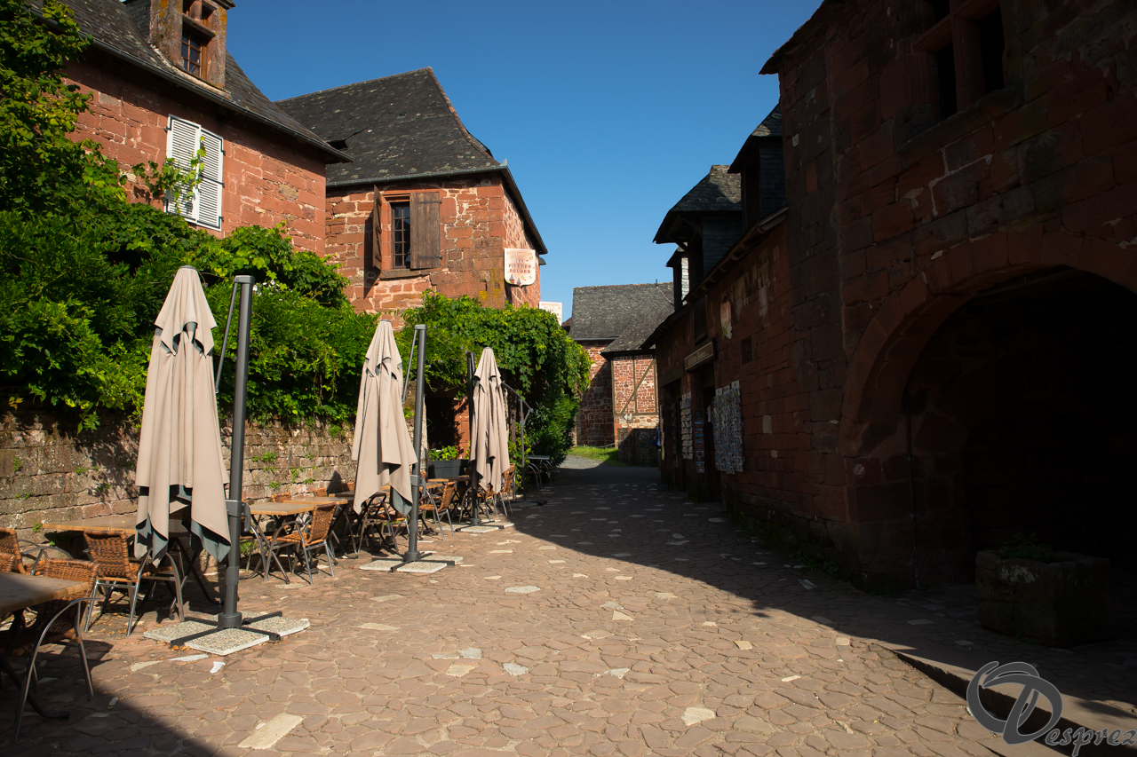 2021-août-14-DSC09303