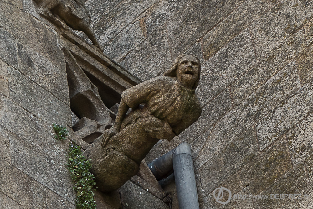 2017-07-25-DSC02148-2