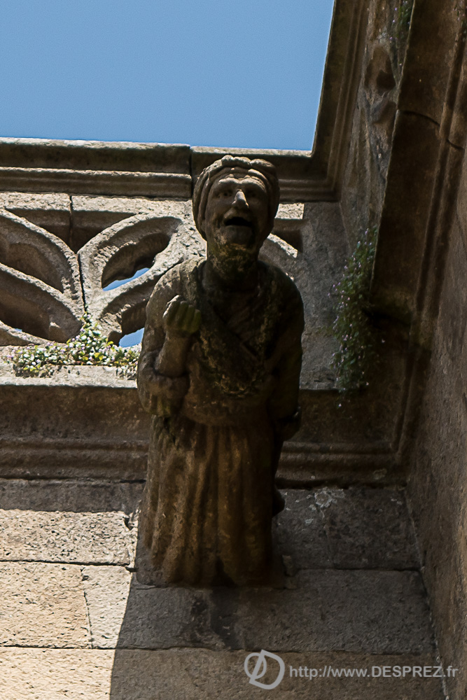 2017-07-25-DSC02149-2