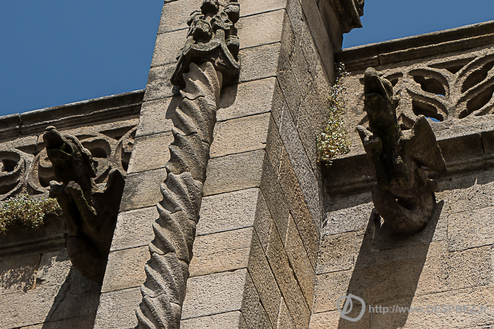 2017-07-25-DSC02150-2