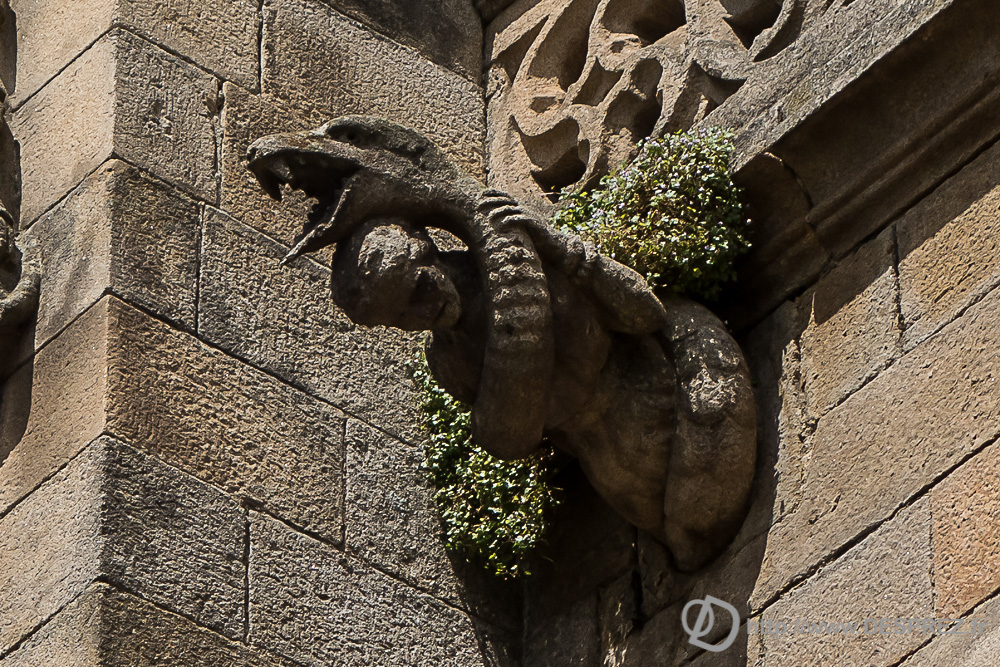 2017-07-25-DSC02151-2