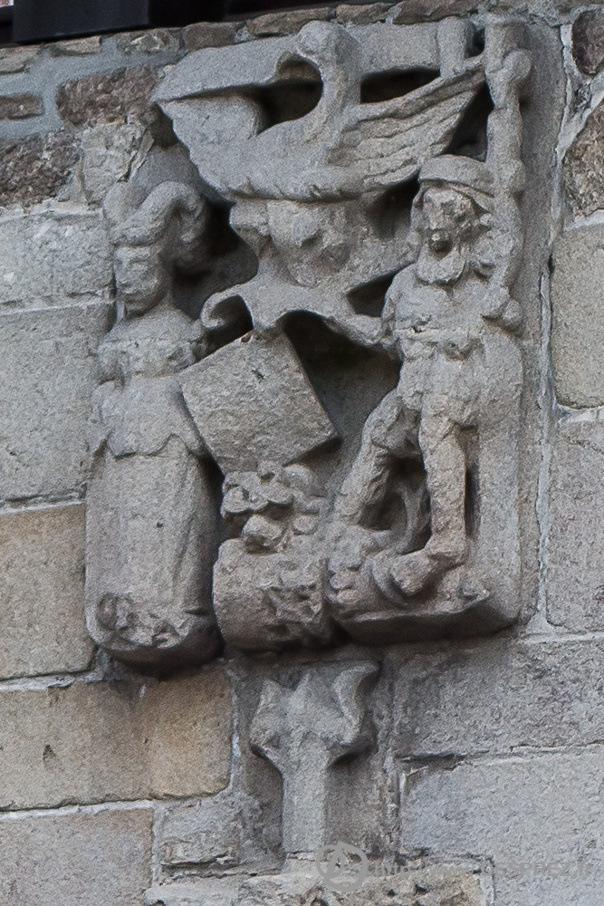 2017-07-25-DSC02177-2