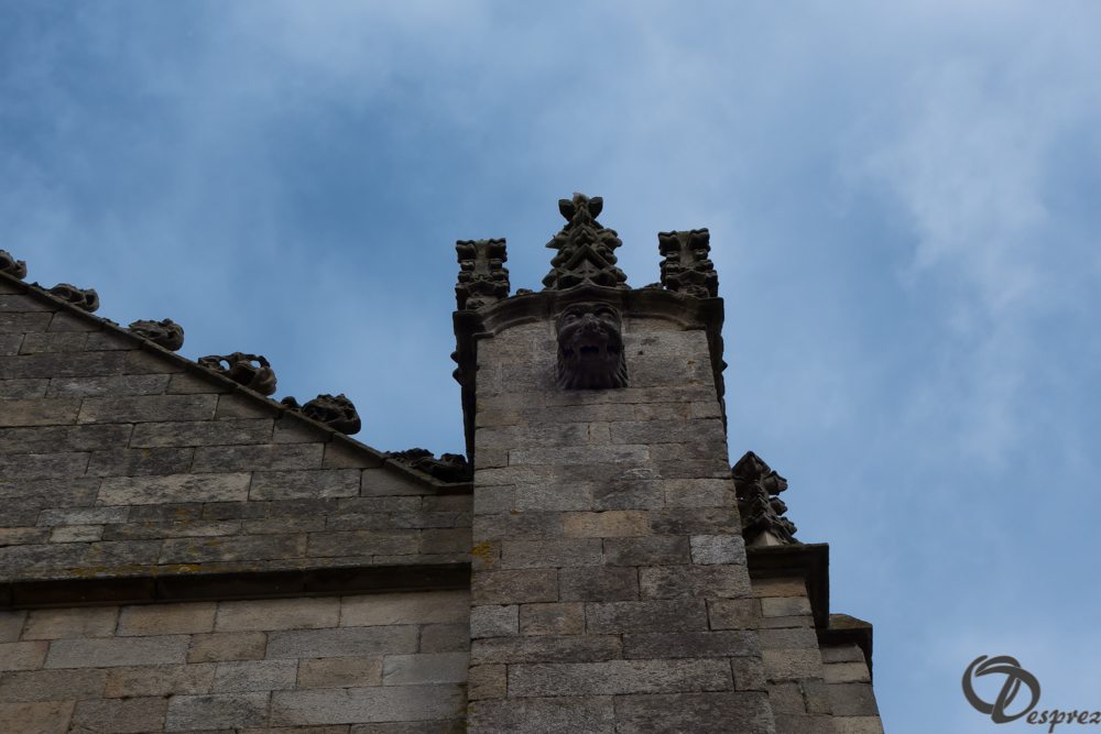 2019-aout-13-DSC02959